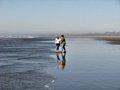 Playing in the Waves