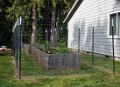 The Garden