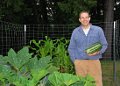 Giant Zucchini