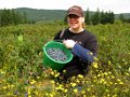 Rachel's Blueberry Bucket
