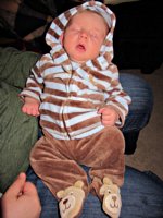 Tired Little Bear