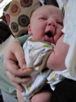 Yawn