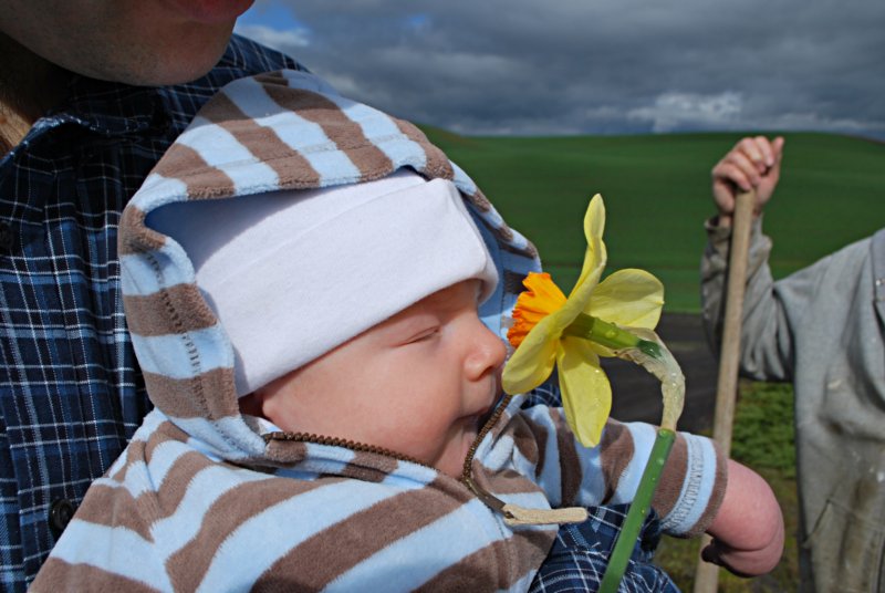 Smelling the Flowers