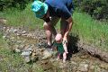Strip in the Crick