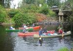 Canoeing Up River