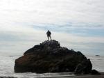 King of the Hill