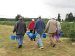 Serious Blueberry Pickers