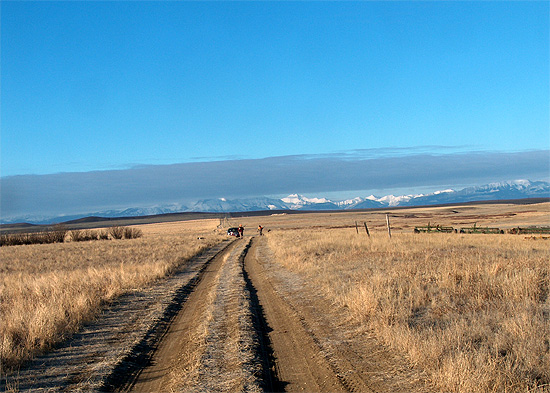 Pheasant Road