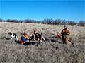 choteau_pheasants_12-07