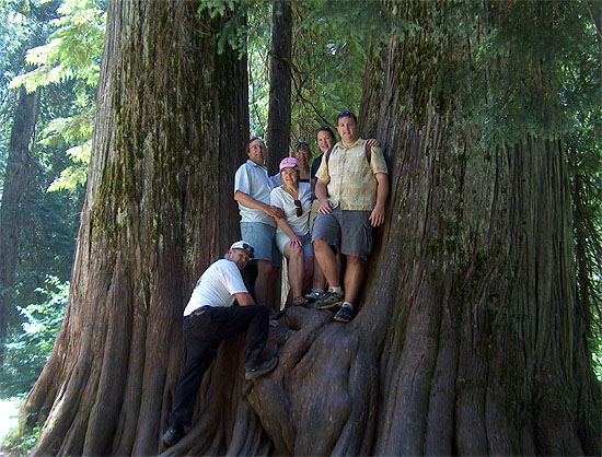 Between Giants