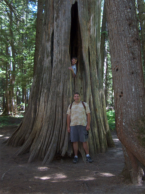 Seth & Nate in a Cedar
