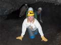 Cave Crawl