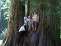 Between Giants