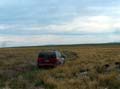 Sea of Sagebrush