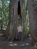 Seth & Nate in a Cedar