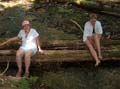 Wood Nymphs