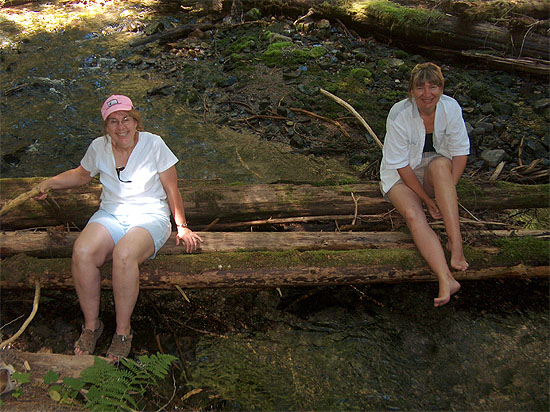 Wood Nymphs