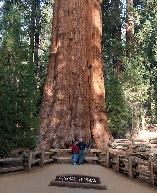 The General Sherman