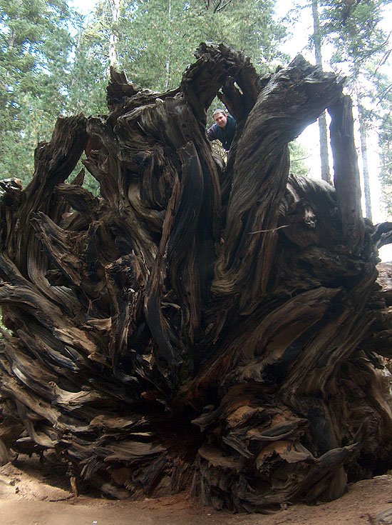 Nate & The Root Mass