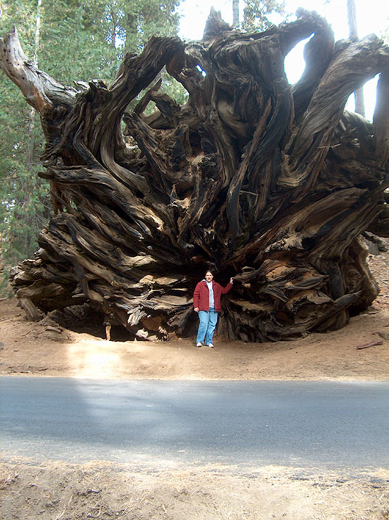 Rachel & The Root Mass