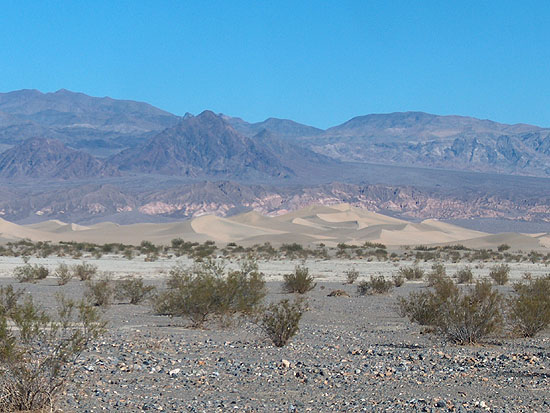 Sand Dunes