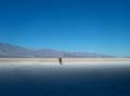 Salt Fields