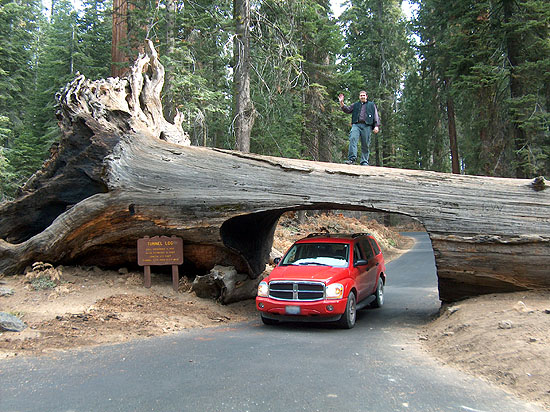 Drive Through