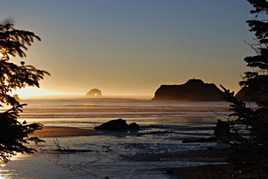Illuminating Sunset