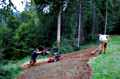 Roto Tiller