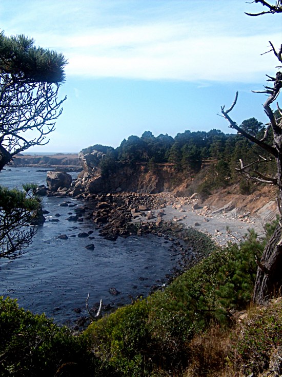 Cove
