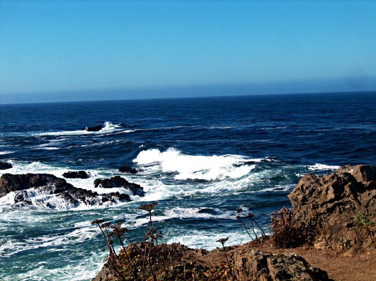 Fort Bragg Wave