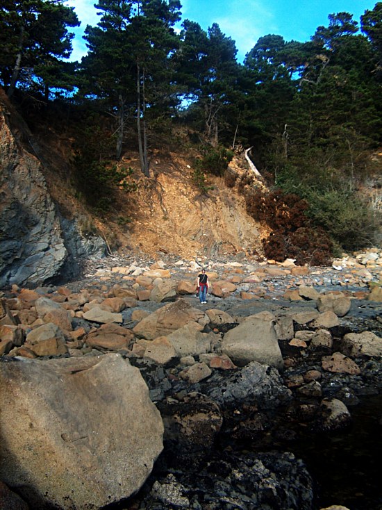 Rachel in the Cove
