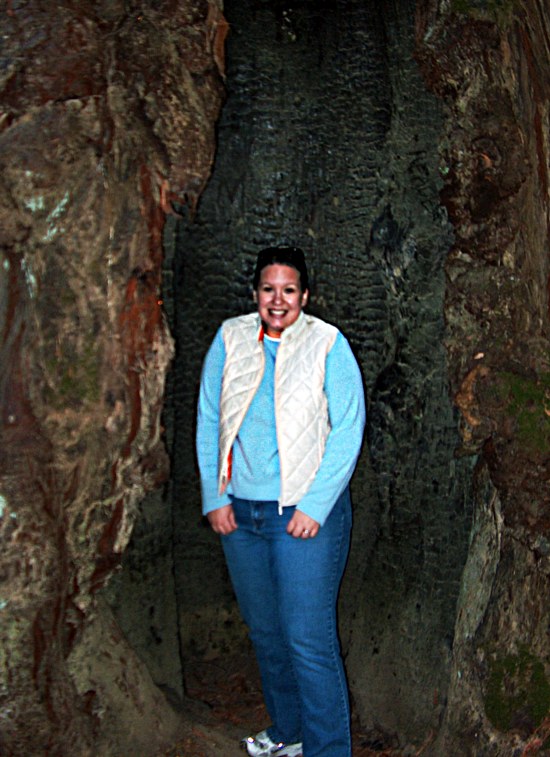Rachel in the Redwood