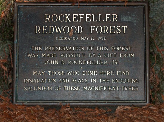 Rockefeller Redwood Forest