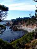 Cove