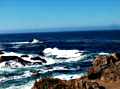 Fort Bragg Wave