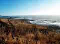 The Lost Coast