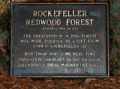 Rockefeller Redwood Forest