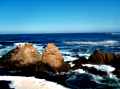 Sea Foam