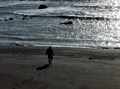 Silhouette Coast