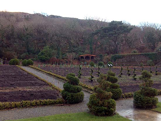 Spiral Bushes