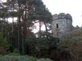 The Tower