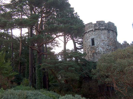 The Tower