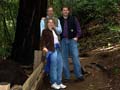 In Muir Woods