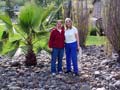 Rachel, Liane & The Palm Bush