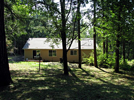 The Backyard
