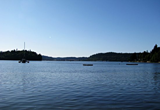 Oakland Bay