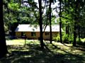 The Backyard