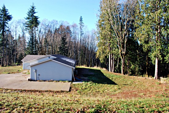 The Backyard