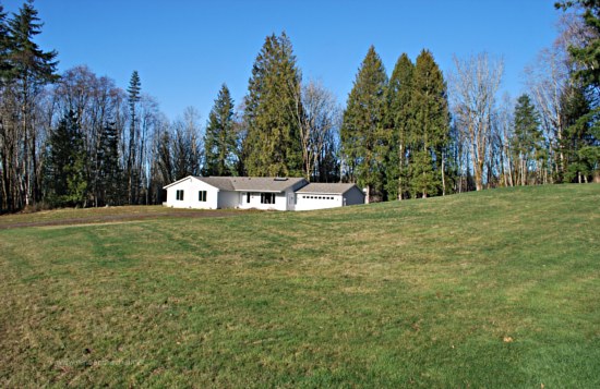 The New House